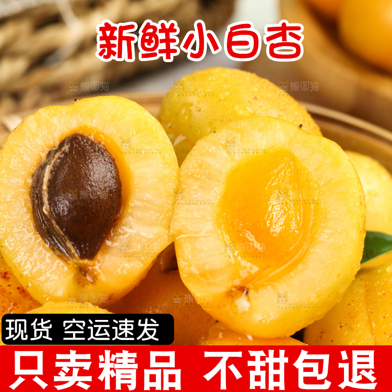 篮子里装着新鲜小白杏