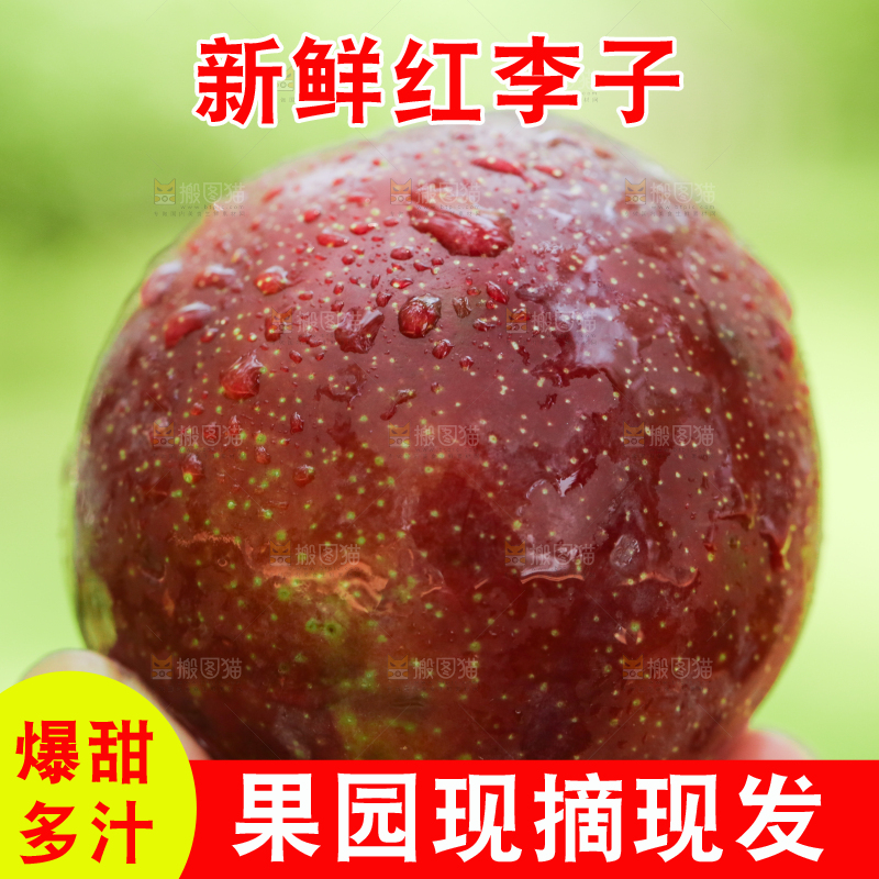 手里拿着红李子