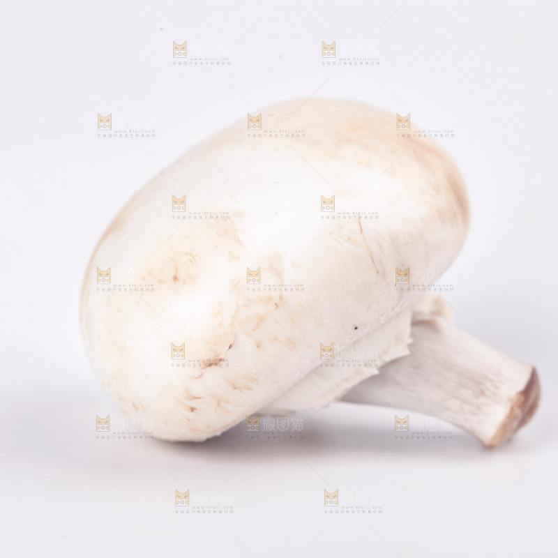 白底上摆放着口蘑