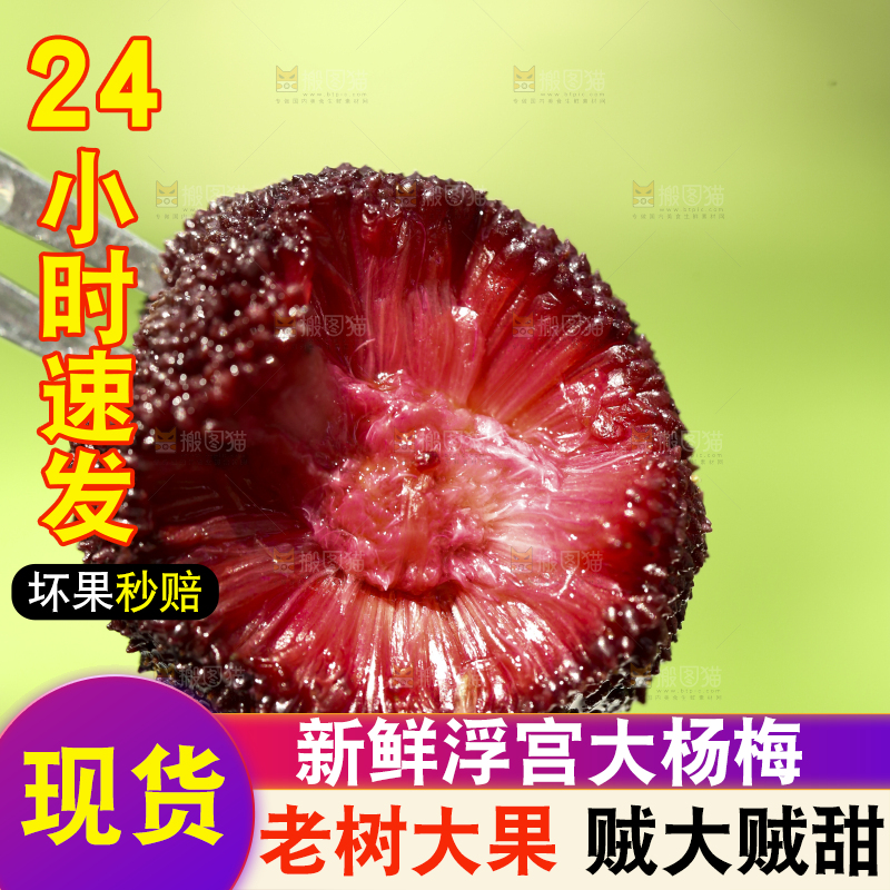 叉子叉着新鲜杨梅