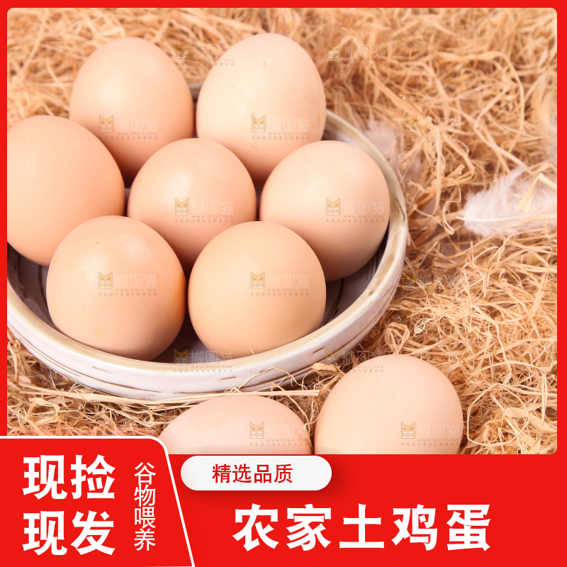 草堆上摆放着散养土鸡蛋