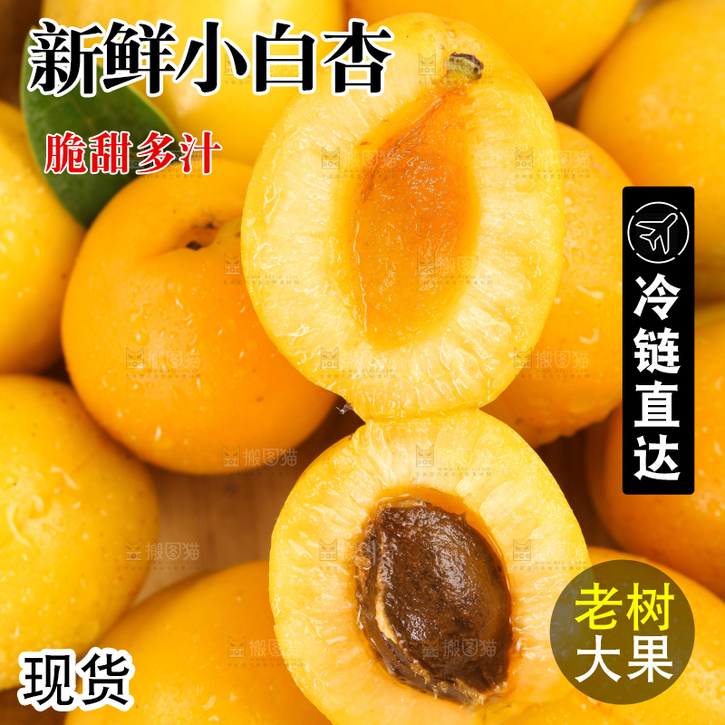 碟子里装着小白杏