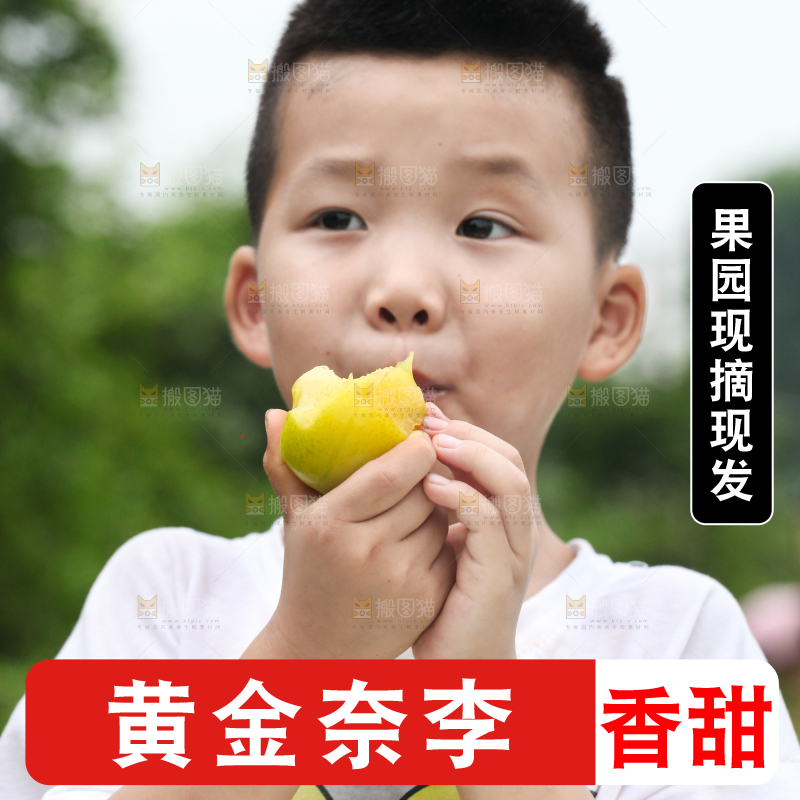 小男孩正在吃李子