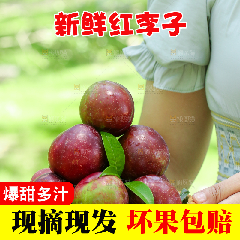 手里端着红李子