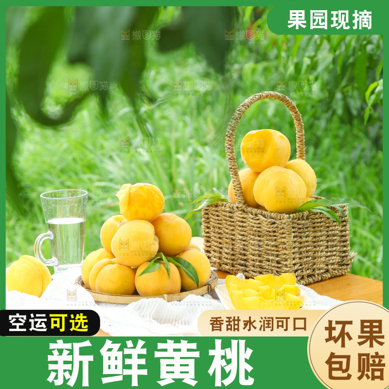 桌子上摆放着刚采摘的黄桃