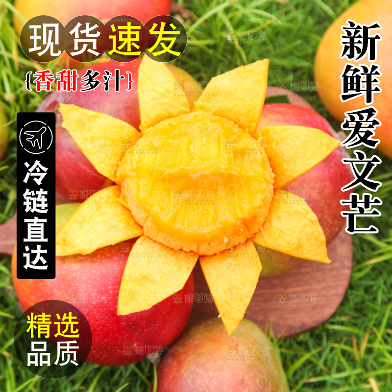 绿草地上摆放着爱文芒