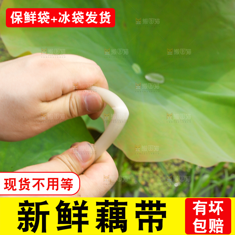 手里拿着新鲜藕带
