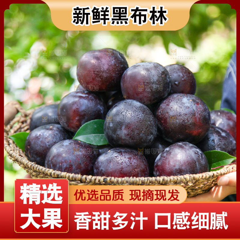 手里端着一篮新鲜黑布李