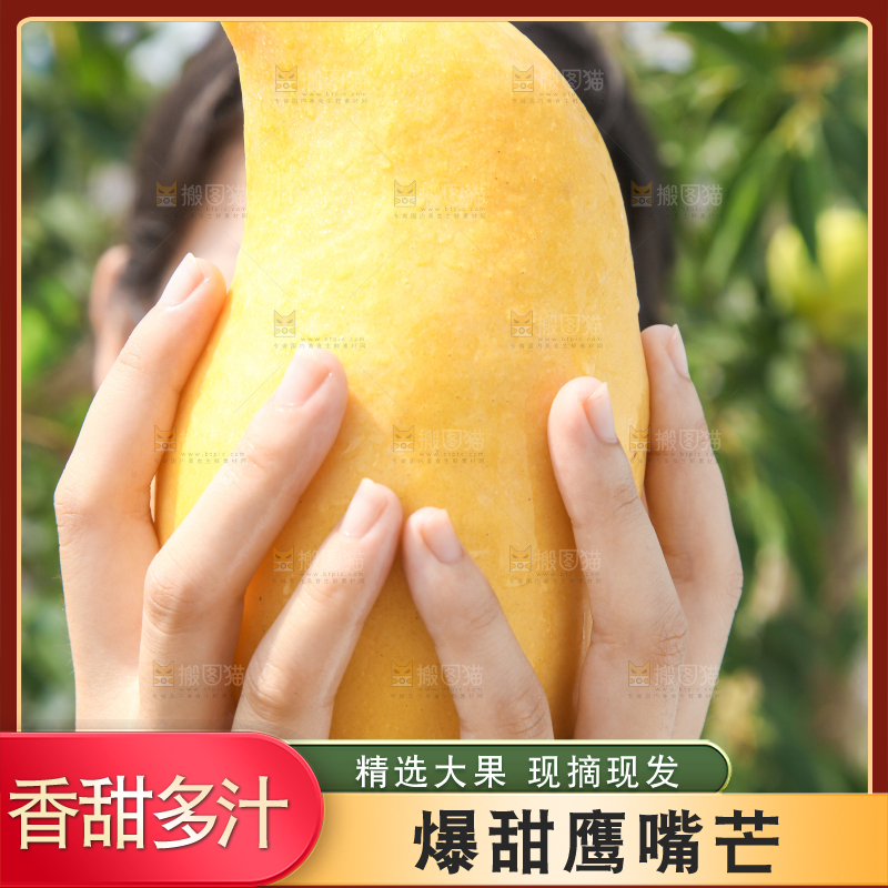 手里拿着鹰嘴芒果