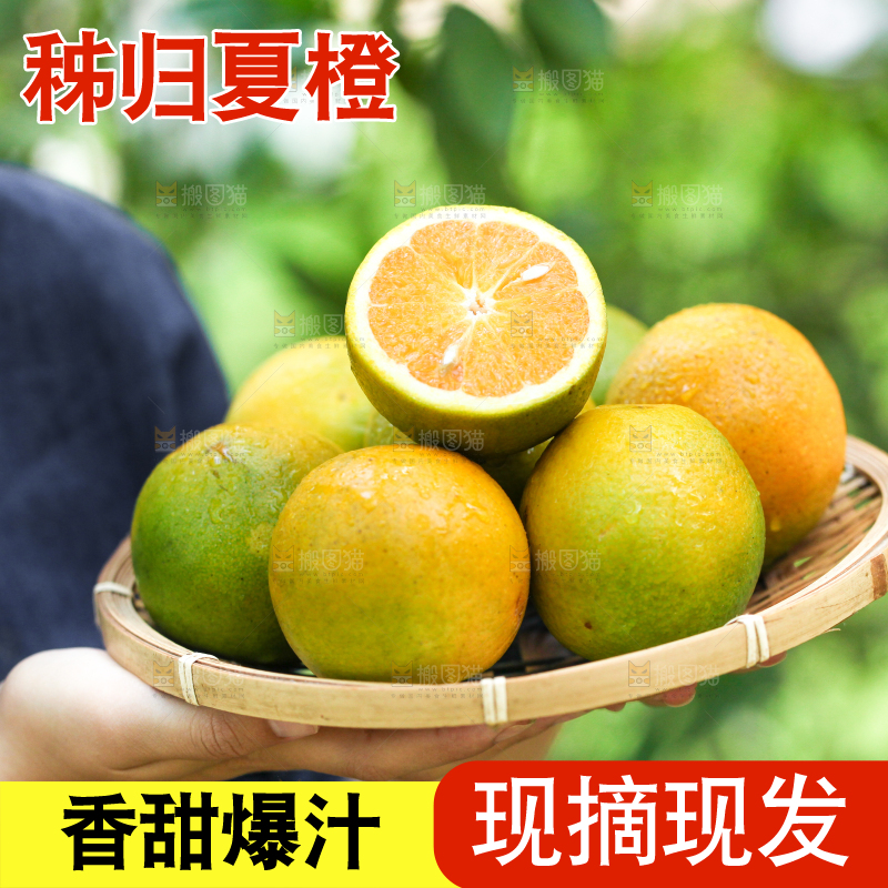 手里拿着一篮夏橙