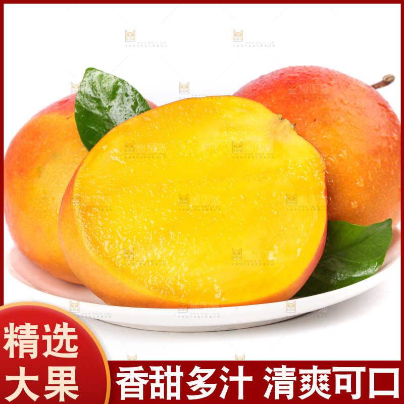 盘子里装着爱文芒