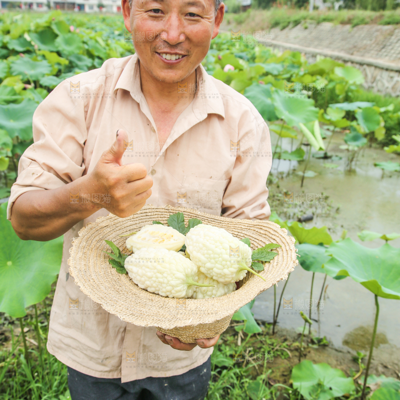 帽子里装着苹果苦瓜