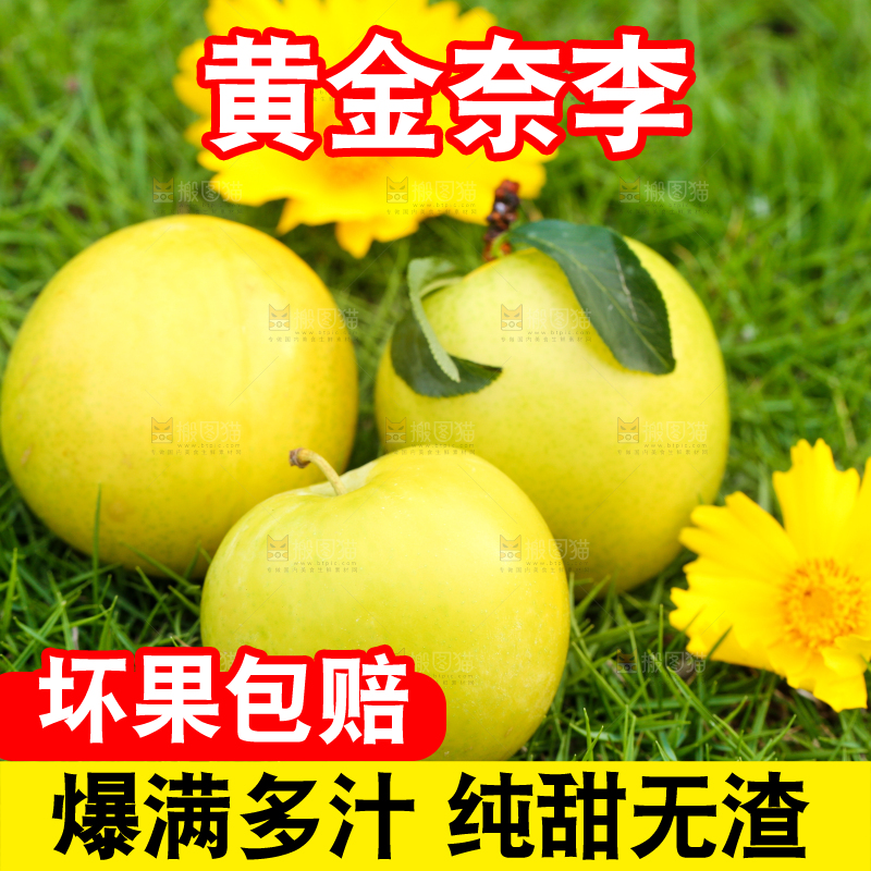 草地上摆放着黄金李
