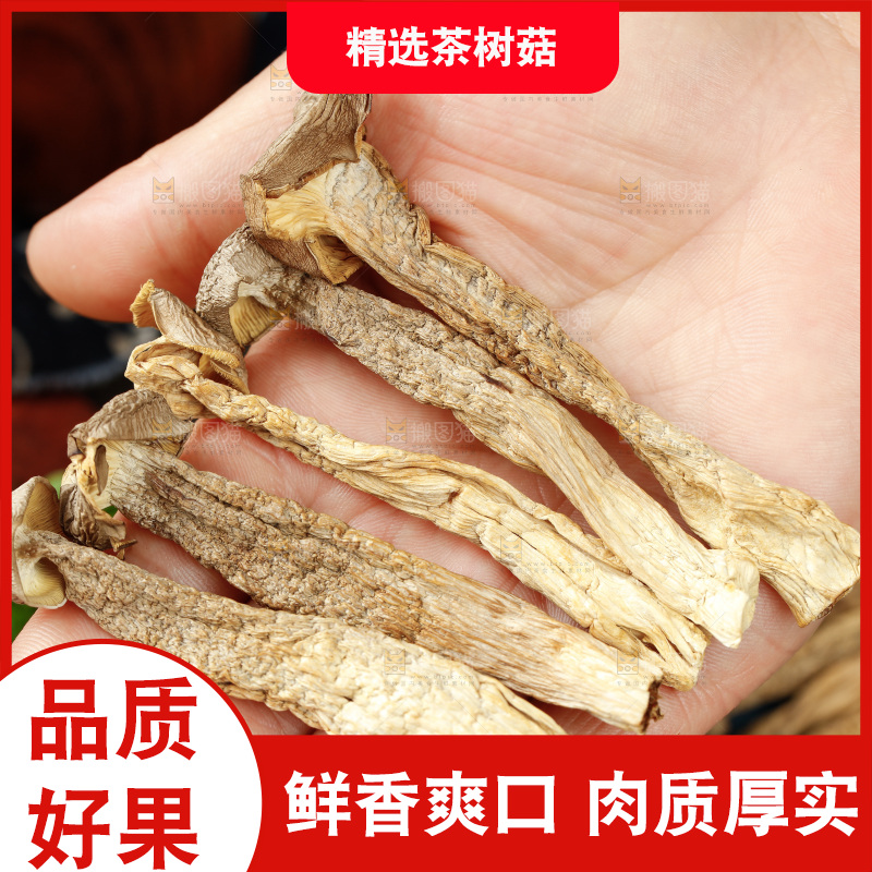 手里拿着干茶树菇
