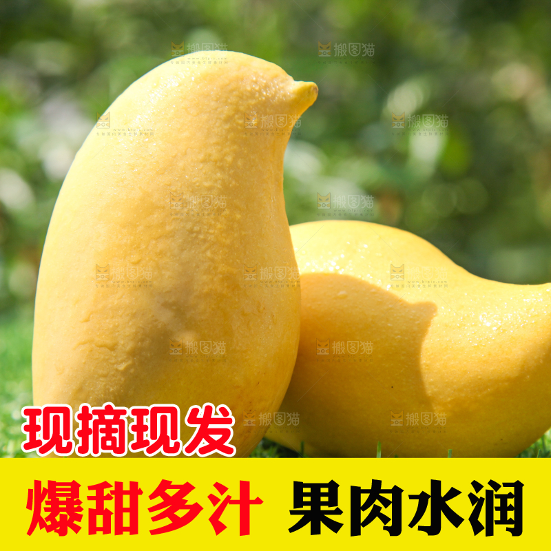 绿草地上摆放着鹰嘴芒果