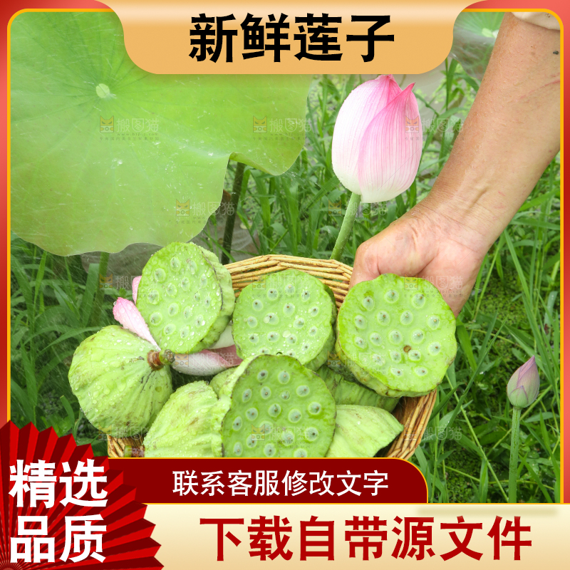 篮子里装着新鲜莲蓬