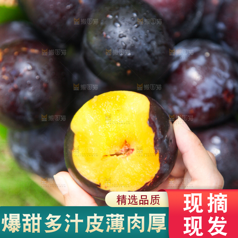 手里拿着黄肉黑布李
