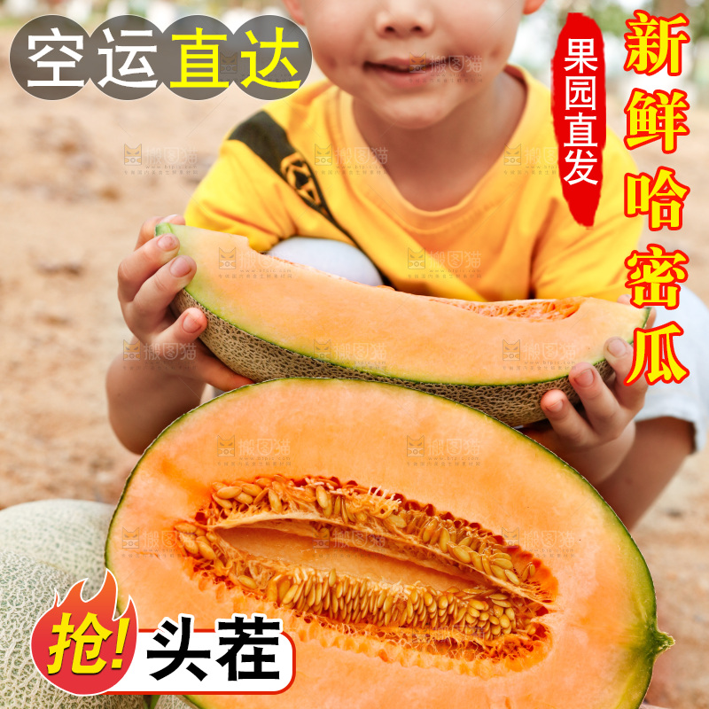 小男孩手里拿着哈密瓜
