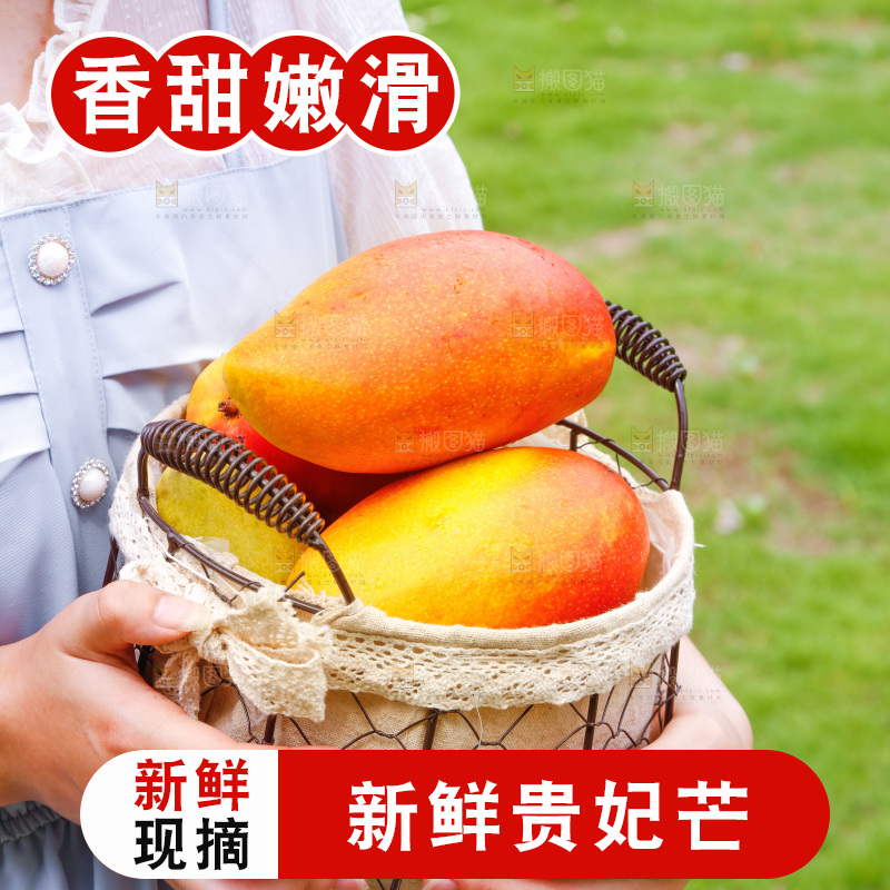 手里端着一篮海南贵妃芒