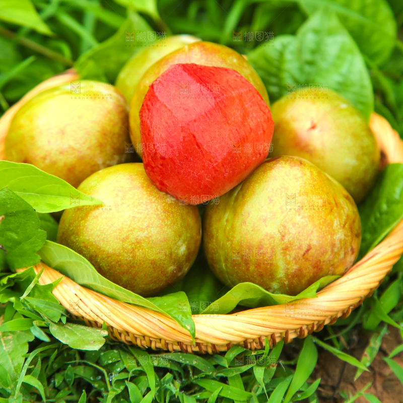 草地上摆放着一篮李子