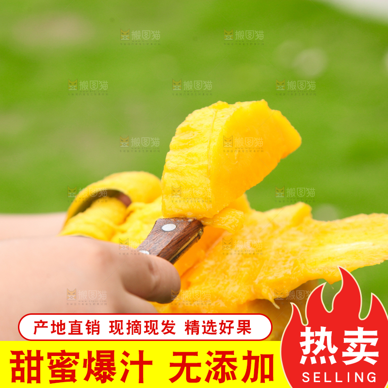 手里拿着青芒果