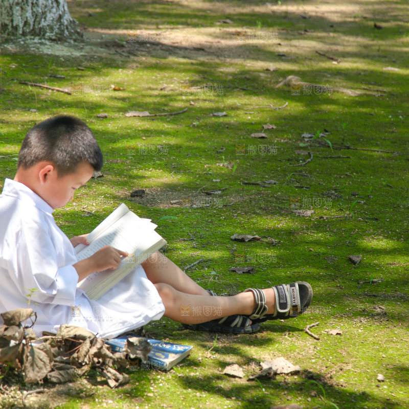 小男孩正在看书