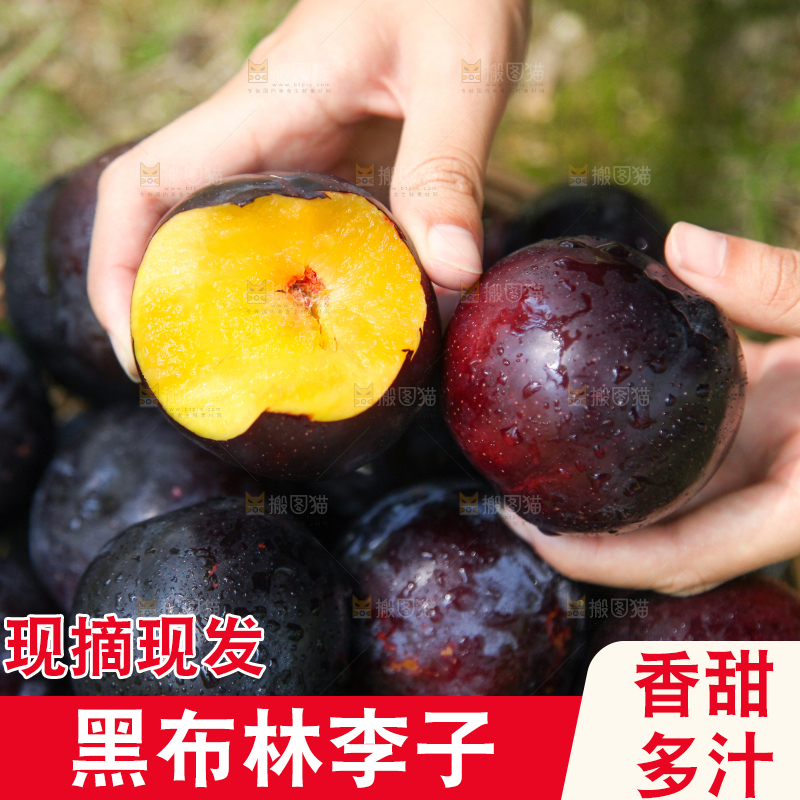 手里拿着黄肉黑布李