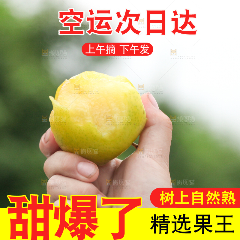 手里拿着黄金奈李