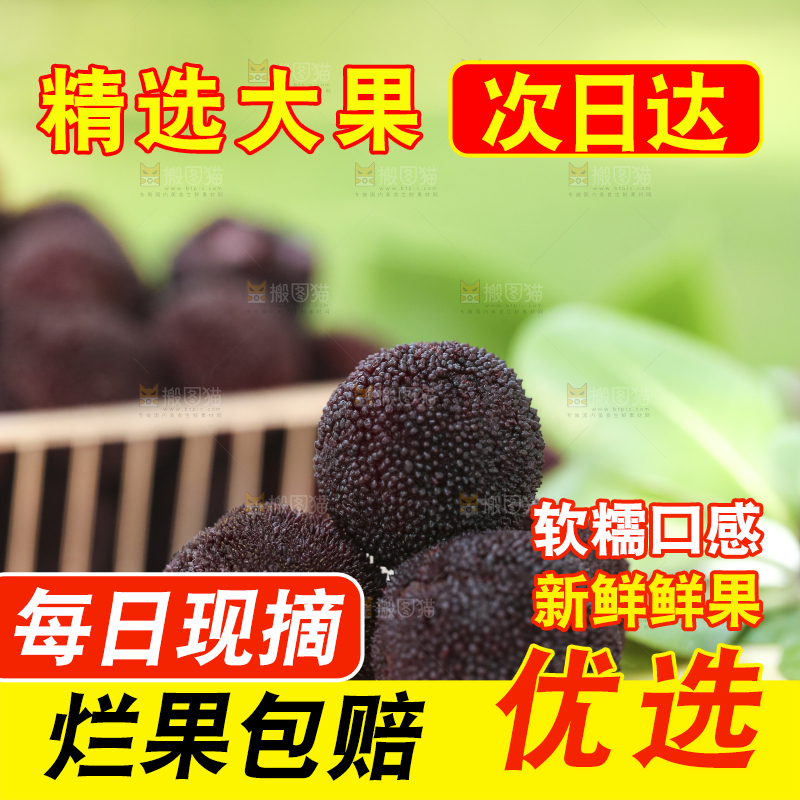 木底上摆放着圣生梅