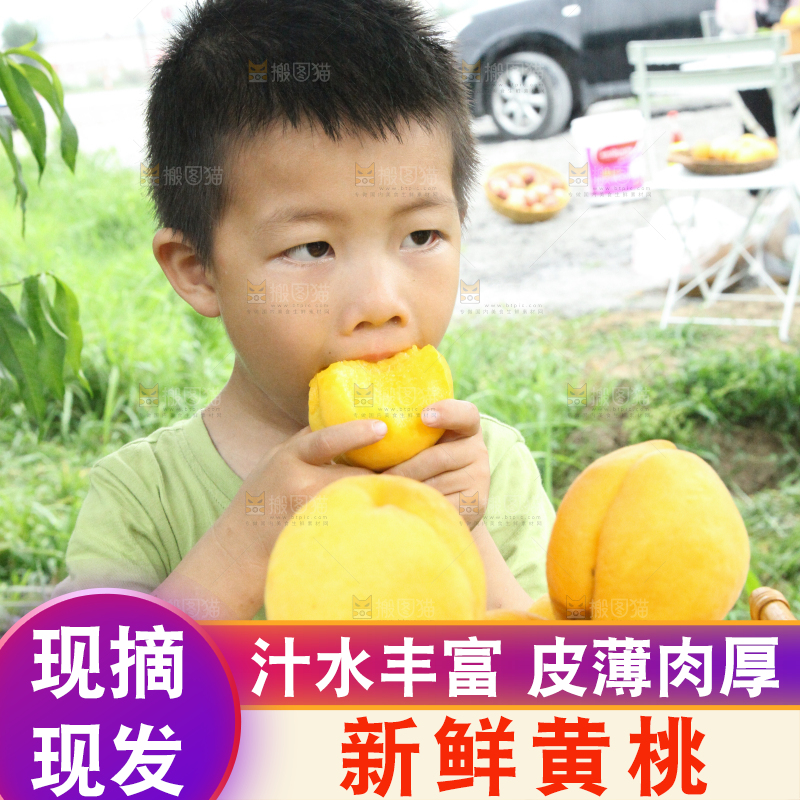 小男孩正在吃黄桃