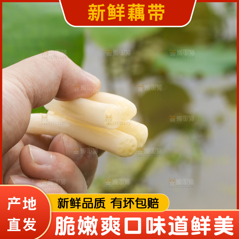 手里拿着新鲜藕带