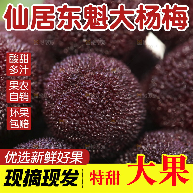 摆放着一堆的杨梅
