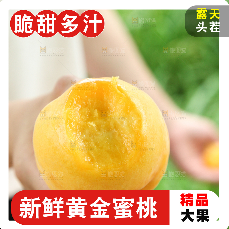 手里里拿着黄肉毛桃