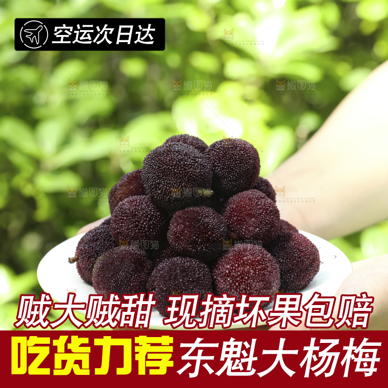 手里端着一盘新鲜杨梅