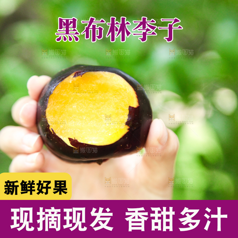 手里拿着黑布林