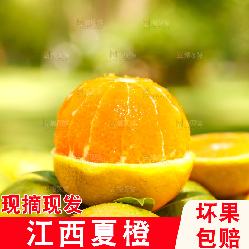 摆放着一堆的夏橙