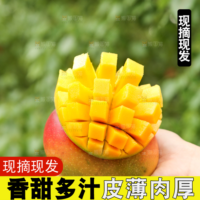 手里拿着爱文芒