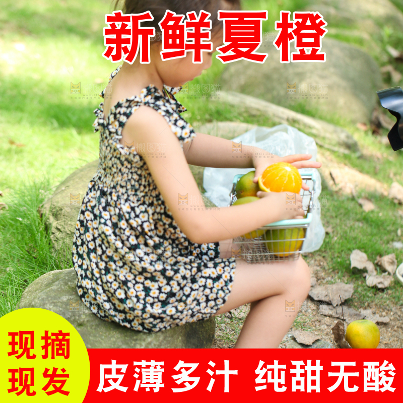 小女孩小手里拿着夏橙