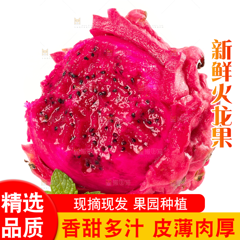 白底上摆放着火龙果