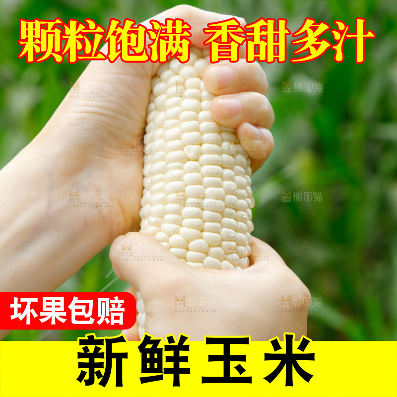 手里拿着甜玉米