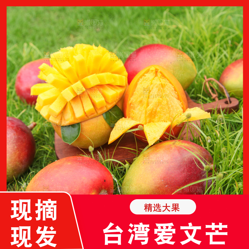 绿草地上摆放着苹果芒
