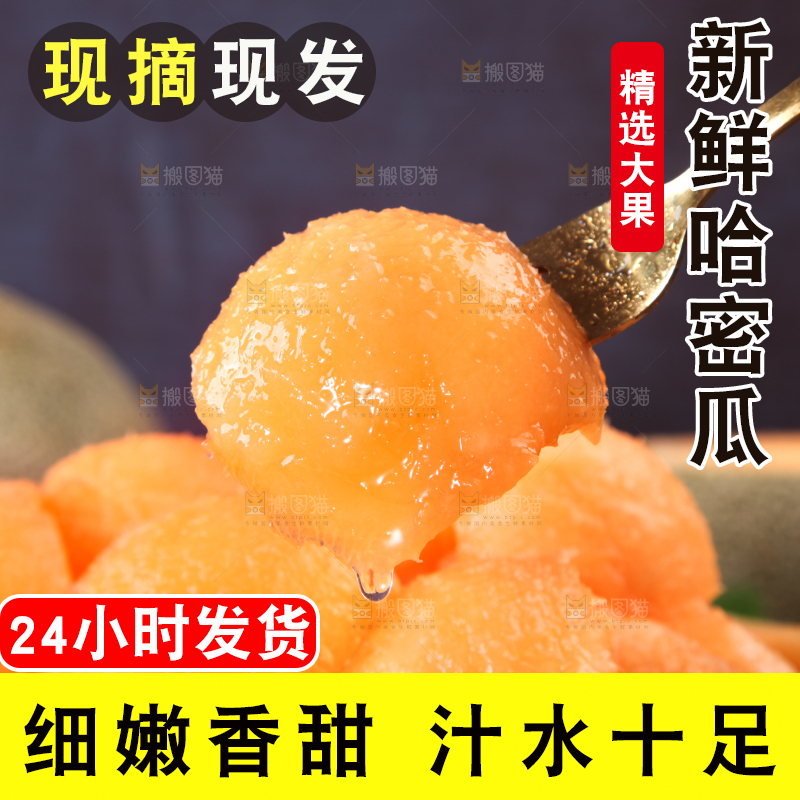 哈密瓜主图