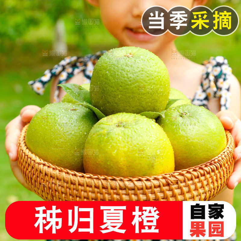 小女孩手里端着一篮夏橙