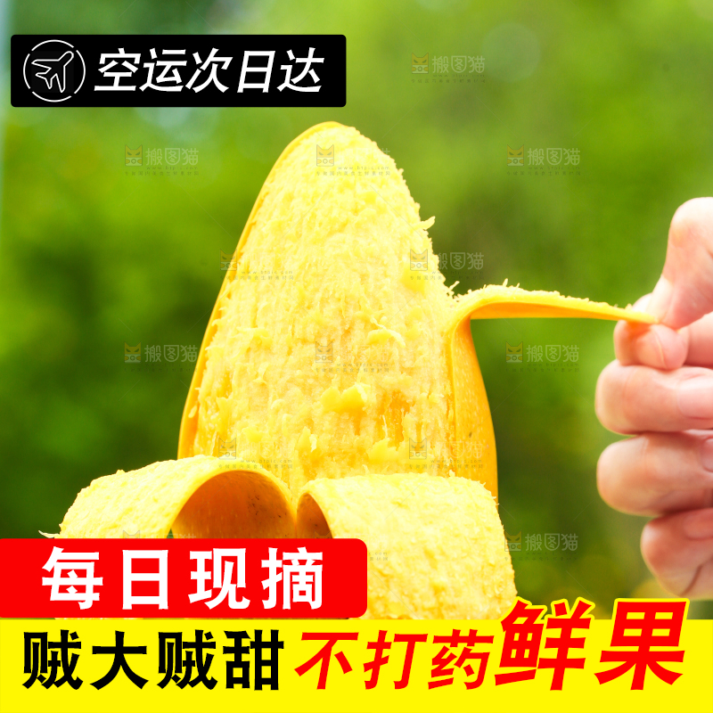 手里拿着水芒果