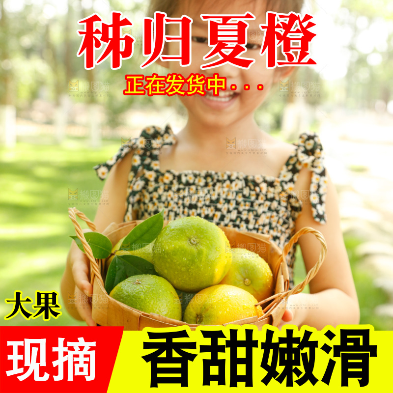 手里端着一篮夏橙