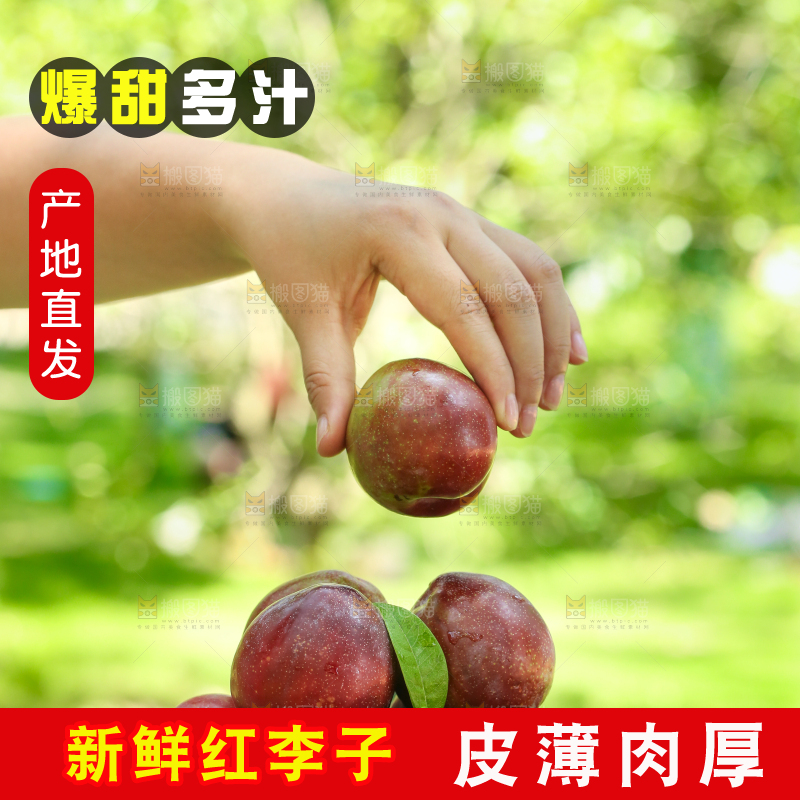 手里端着红李子