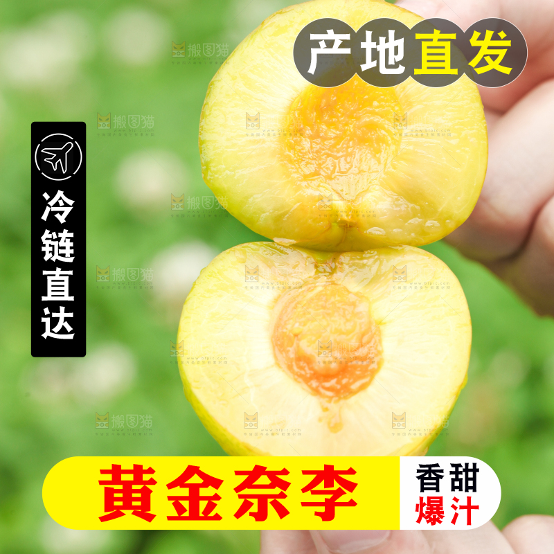 手里拿着黄金奈李