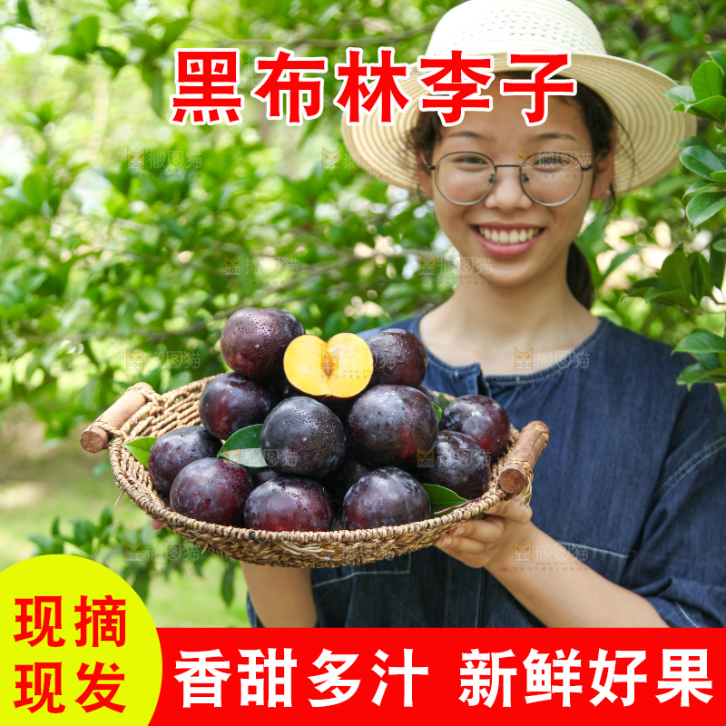 手里端着一篮新鲜黑布李