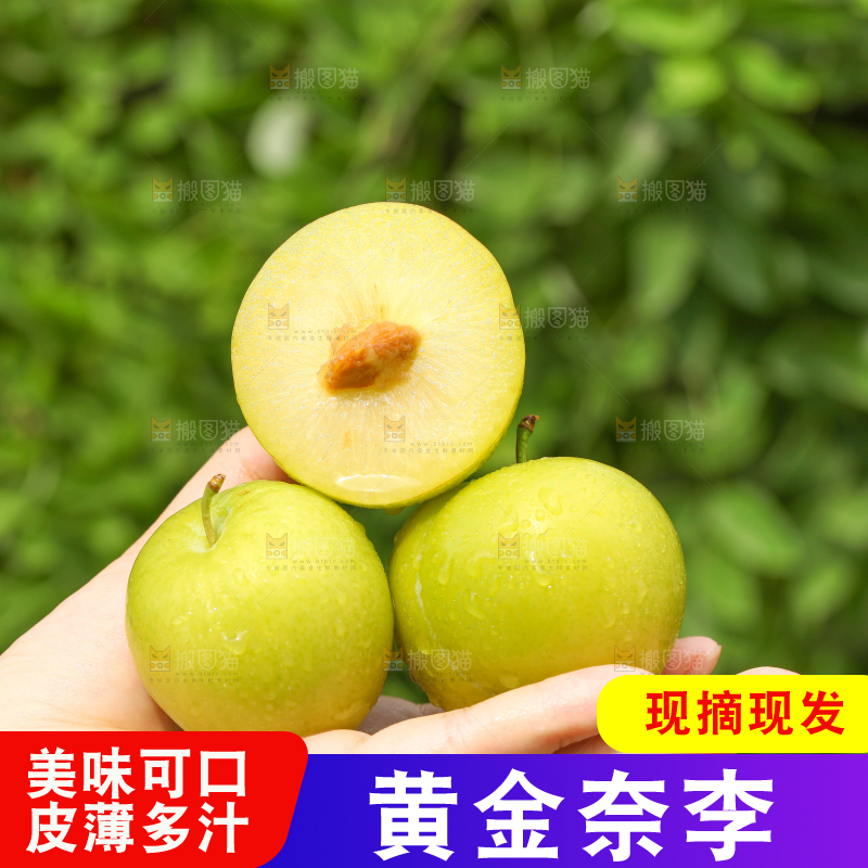 手里拿着蜂糖李子