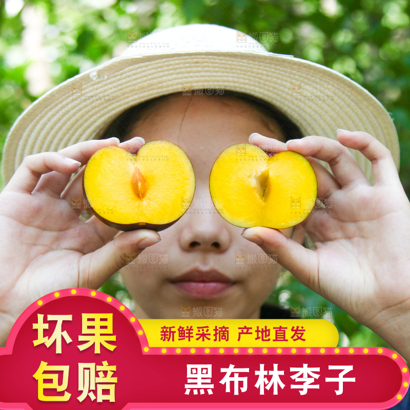 手里拿着黄肉黑布李